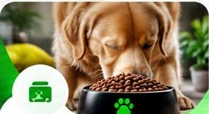 Pet Food